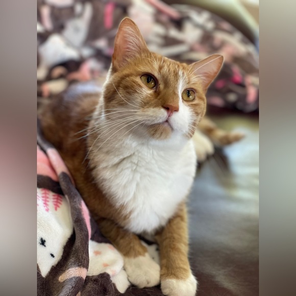 THANK YOU FOR YOUR SUPPORT!! *TIP JAR* - Picture 7 of 7